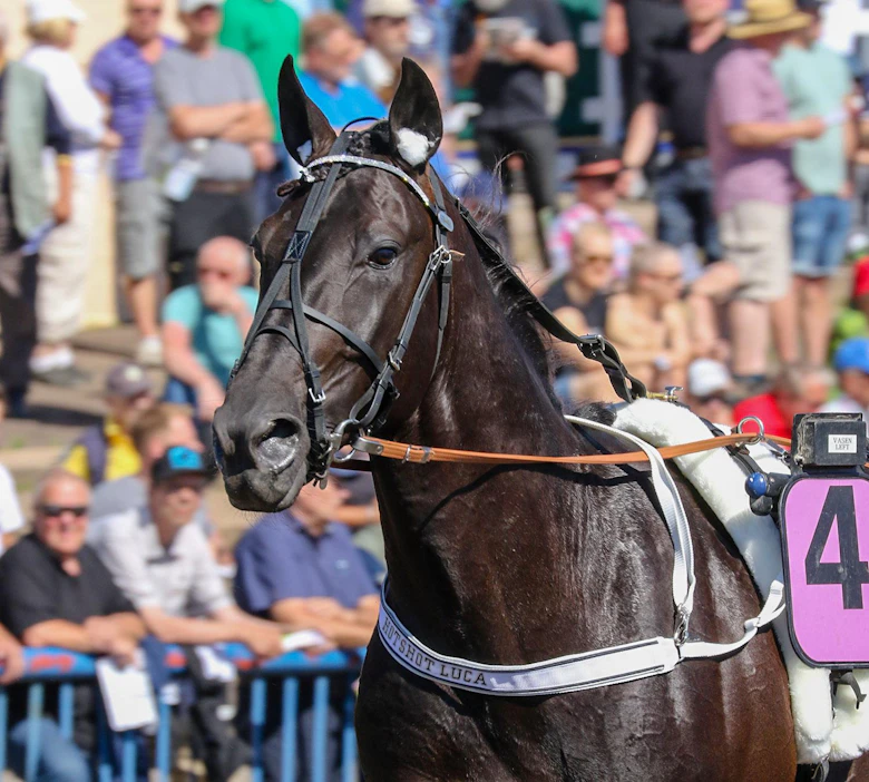 Ikäluokan kärkinimiin kuuluva Hotshot Luca on Ravinetin luottorasti T76-rivin avaavassa Derbyn lohdutuslähdössä.