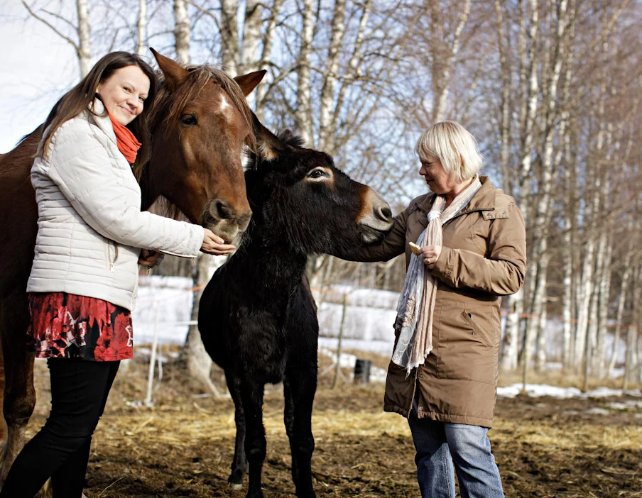 Johanna Niiles-Hautanen (vas.) ja Anne Niiles-Mäki hyödyntävät tarjoamassaan eläinterapiassa suomenhevosta Meno-Rallia sekä Sohvi-aasia.