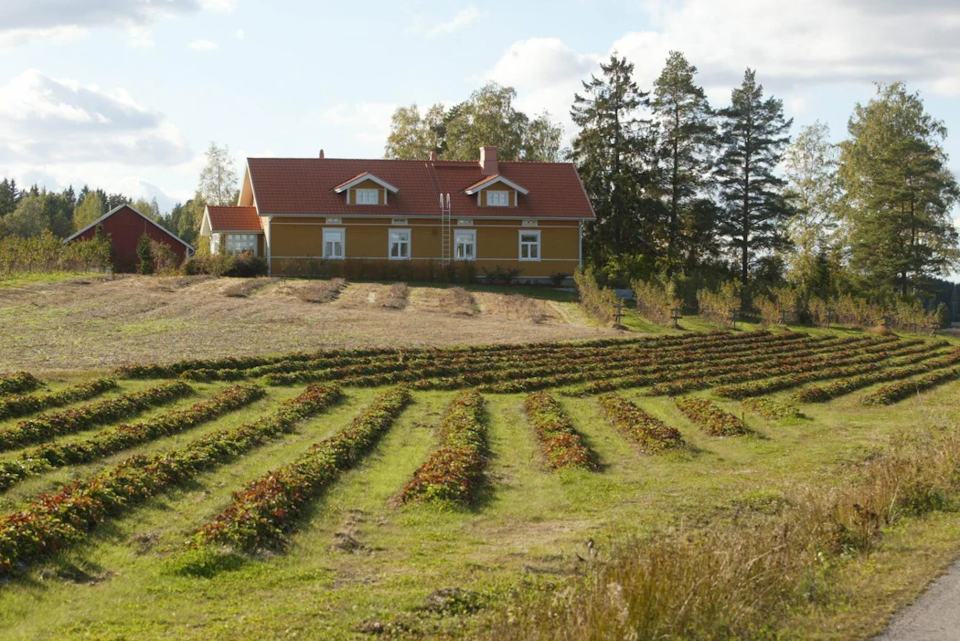 Yrittäjiä on suhteellisesti eniten pienissä kunnissa. Maatilojen väheneminen näkyy alkutuotannon yrittäjien määrässä.