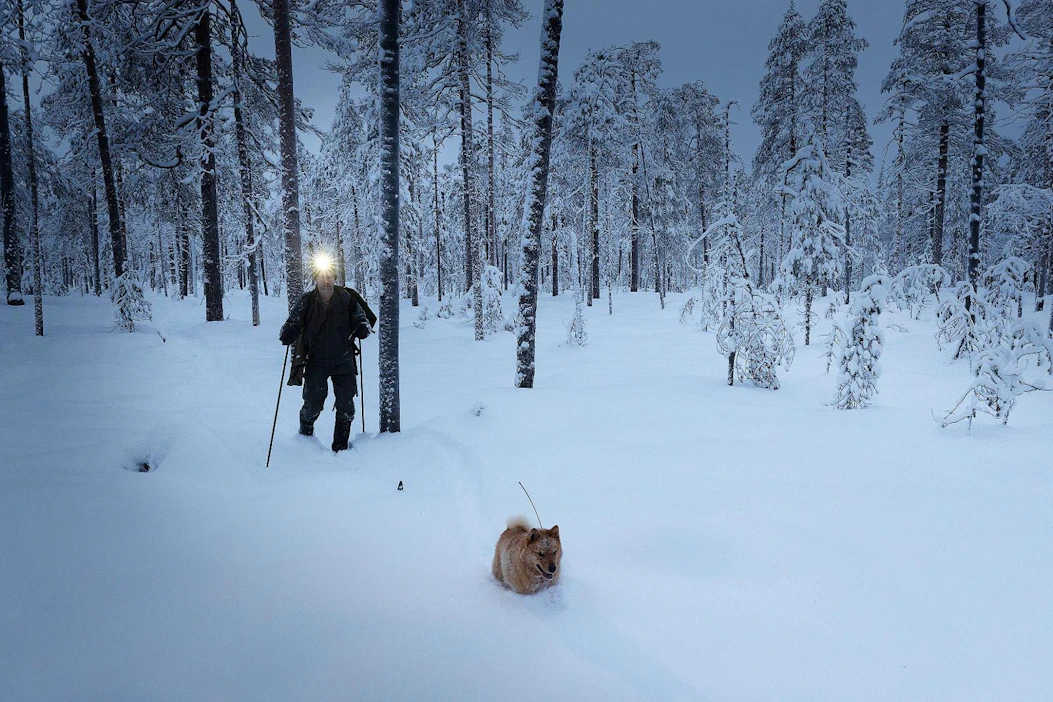 Siitä se on mennyt! Tuomo Huttu ja pystykorvainen eräkaveri ovat löytäneet näädän jäljet Hossassa.