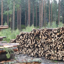 Ulkomaiset investoijat seuraavat metsäteollisuuden toimintaedellytyksiä Suomessa tarkasti.