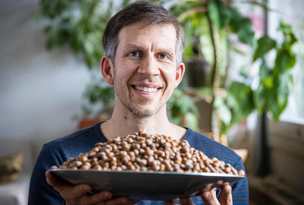 Joel Rosenberg kasvattaa pähkinöitä Laitilassa. Omat hasselpähkinät maistuvat hänestä parhailta sellaisenaan.