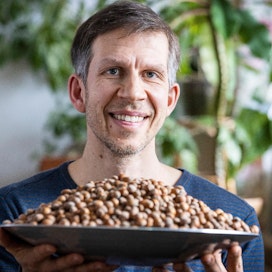 Joel Rosenberg kasvattaa pähkinöitä Laitilassa. Omat hasselpähkinät maistuvat hänestä parhailta sellaisenaan.