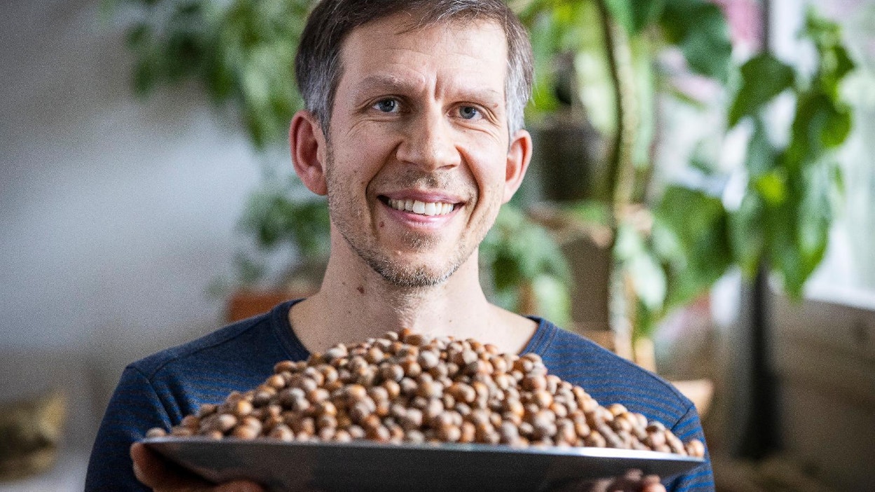 Joel Rosenberg kasvattaa pähkinöitä Laitilassa. Omat hasselpähkinät maistuvat hänestä parhailta sellaisenaan.