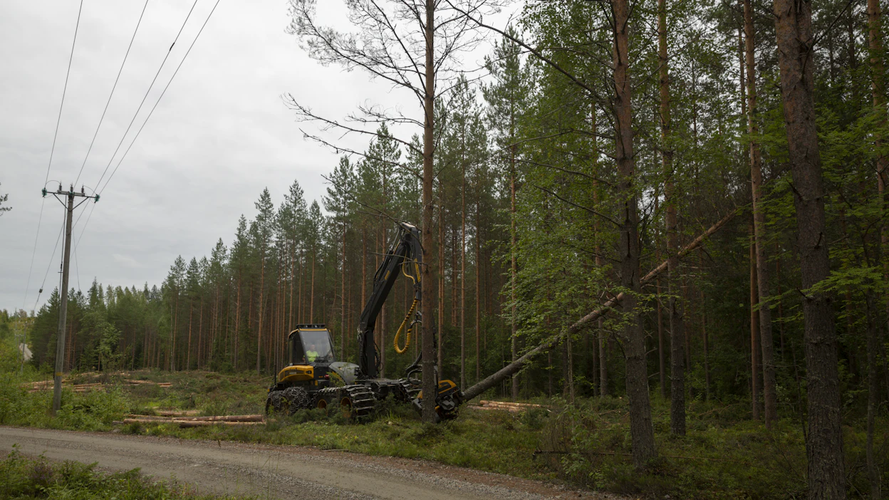 MTK on tyytyväinen lunastuslain muutoksen, mutta vielä on selvitettävä, miten liiketoiminnan tuotto voitaisiin ottaa huomioon maanomistajakorvauksissa.