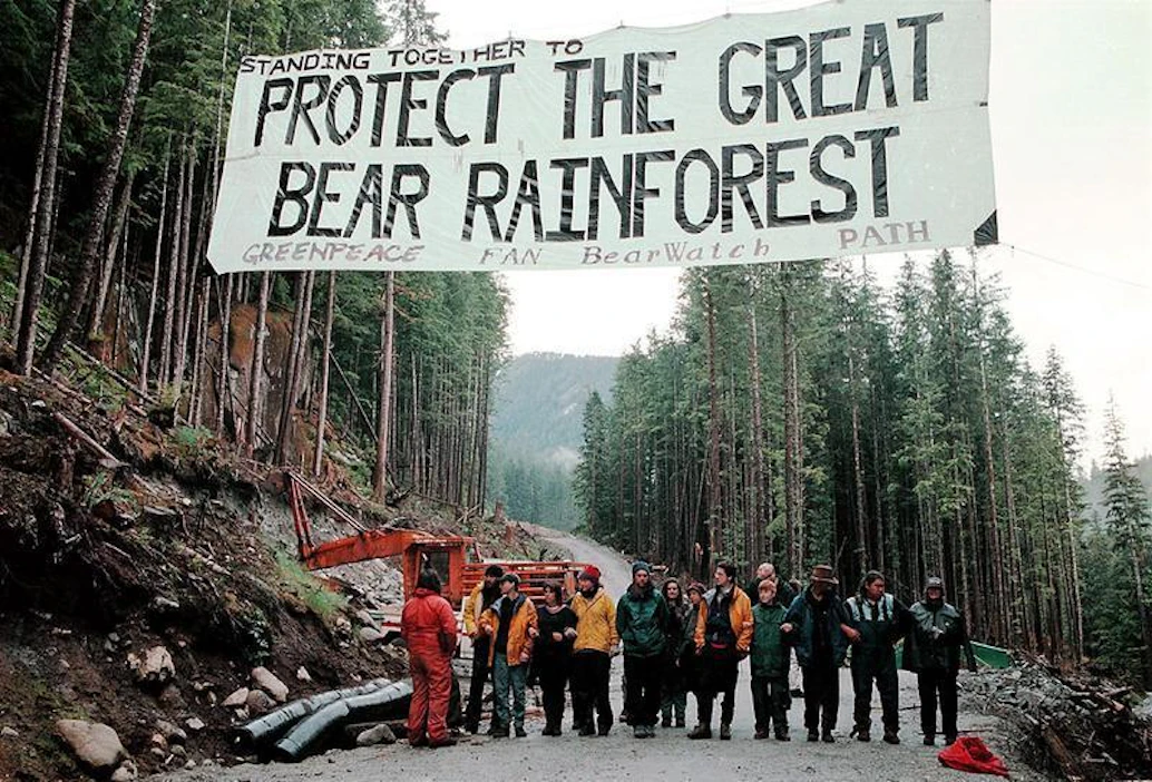 MTK:n mukaan FSC-metsäsertifiointi näyttää keskittyvän pohjoisiin metsiin, missä metsätalous on ennestään kestävällä pohjalla. Kuvassa Greenpeacen aktivistit osoittavat mieltään Kanadassa.