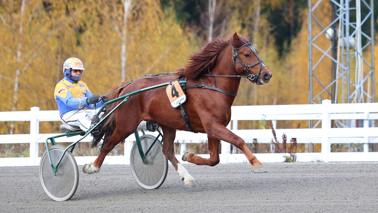 Voitokas Kiitävä on siirtynyt Jukka Huuskolan valmennukseen. Kuvassa ohjissa valtaosan Kiitävän kilpailuista ajanut Kari Venäläinen, Killerillä kuskina on Tommi Kylliäinen.