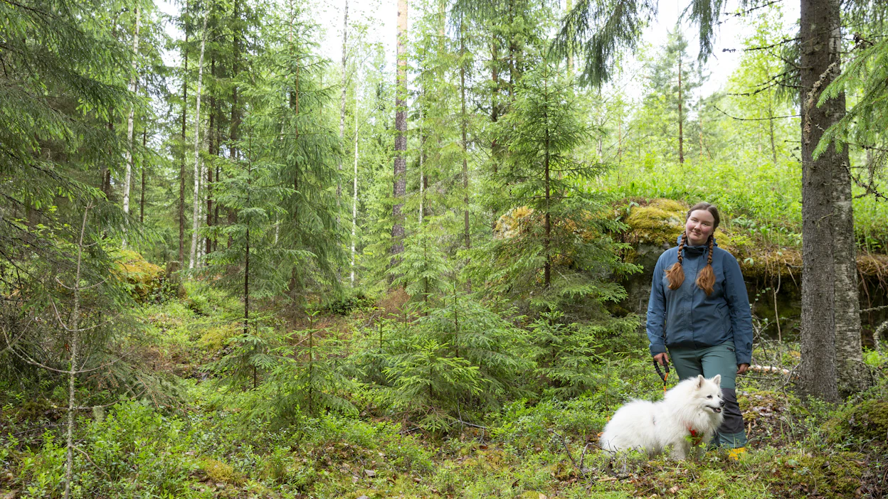 Reetta Kangaslampi on unelmatyössään pystyessään yhdistämään koiraharrastuksensa metsänhoidon tutkimukseen.