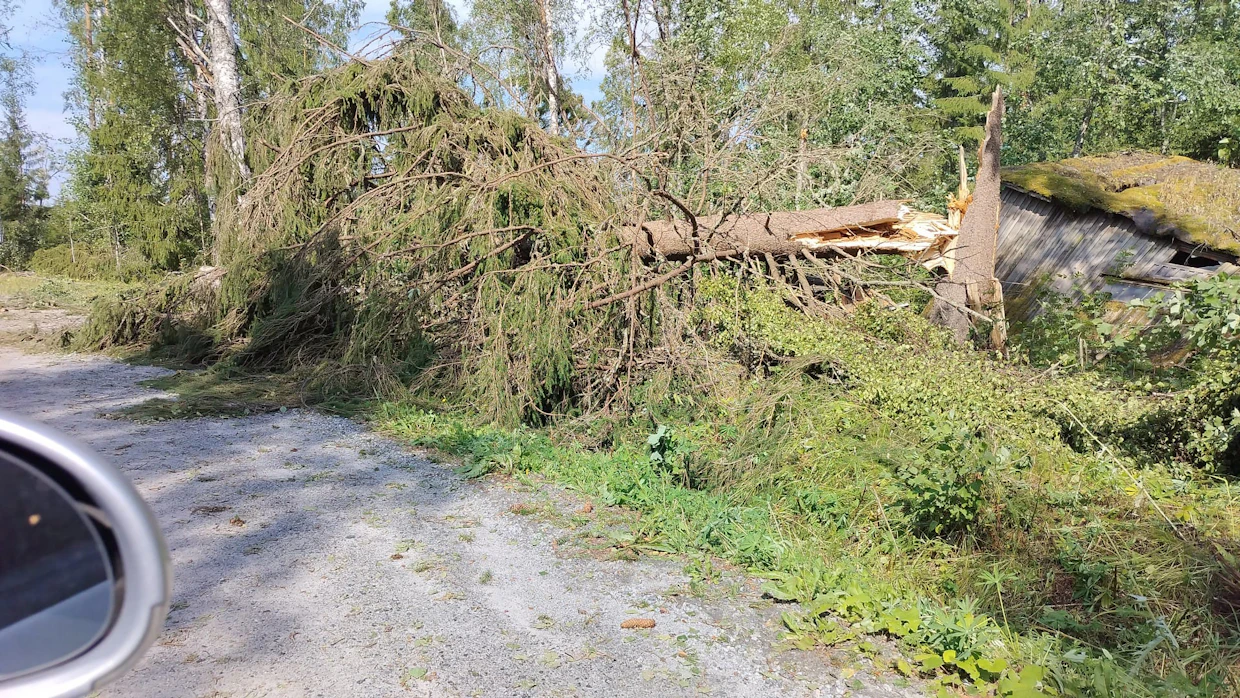 Puita kaatui sekä yksittäin että kauttaaltaan satojen metrien matkalta.