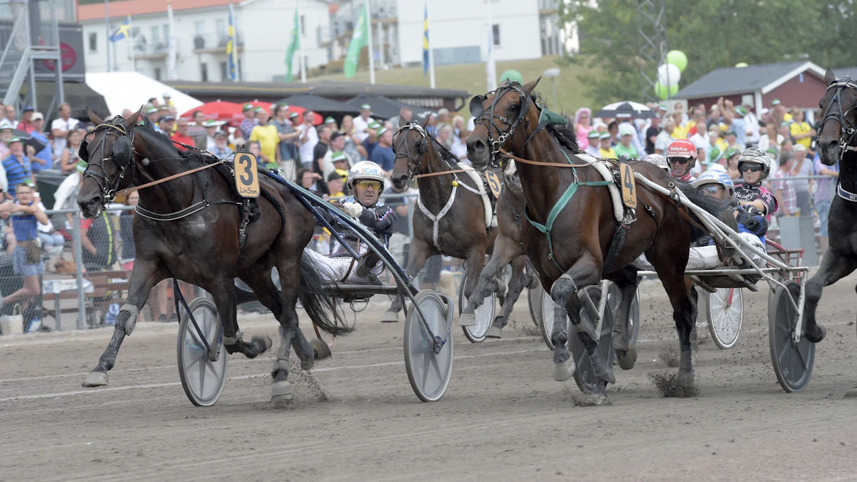 GlobalSatisfaction voitti useita T75-lähtöjä Ruotsissa Timo Nurmoksen valmennuksesta. Kuvassa ruuna voittaa hopeadivisioonakarsinnan Ulf Ohlssonin ohjastamana Halmstadissa heinäkuussa 2018.