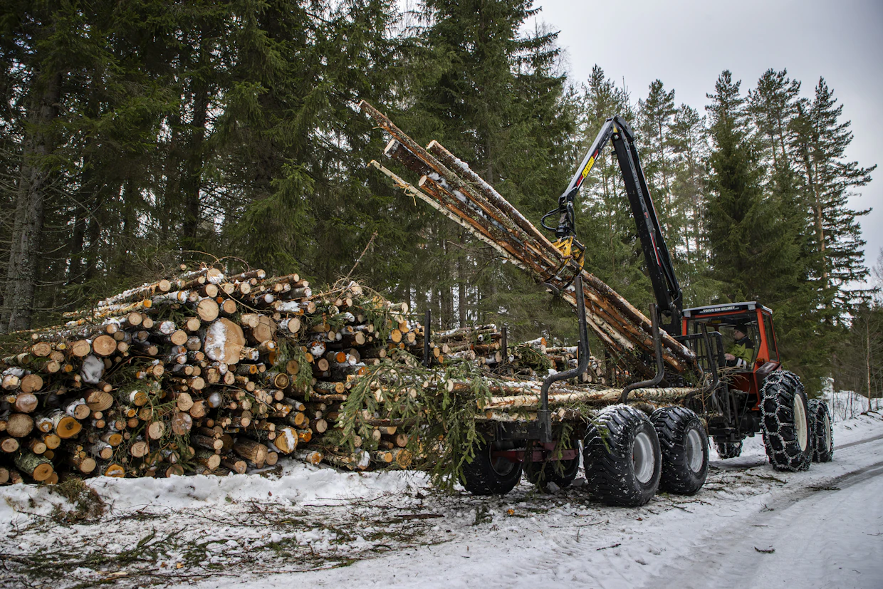 Energiapuun korjuussa etuna on, että kaikki puulajit kelpaavat samaan kasaan.