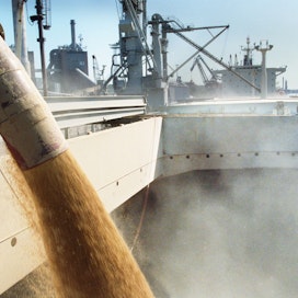 Panamax-luokan viljalaivaa lastataan Naantalin satamassa. 