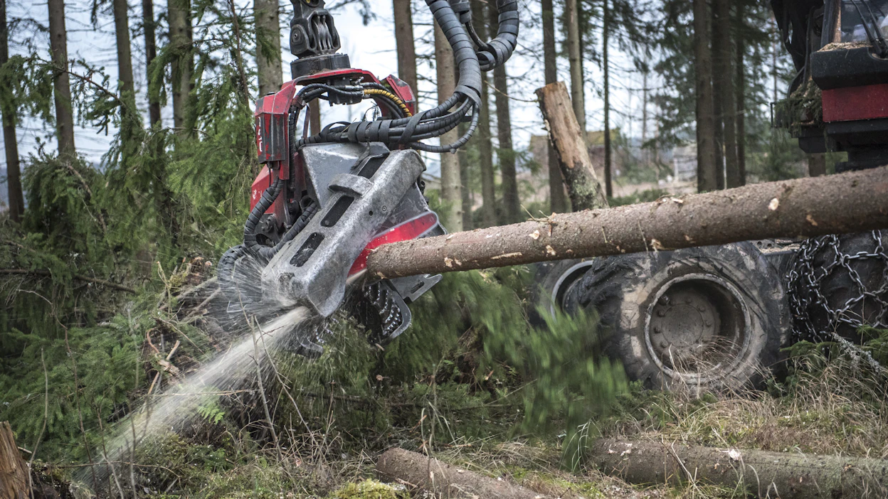 Erityisesti metsätaloudessa on eletty korkeasuhdanteen aikaa, jolloin vientimäärät ja puusta saatu hinta on ollut korkea.
