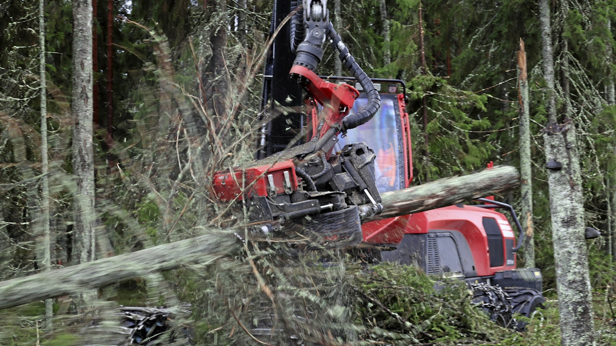 Komatsu Forest on tarjonnut jo muutaman vuoden myös kaksisyöttörullaisia S-sarjan harvesteripäitä. Nyt niiden kiinnostus yrittäjien keskuudessa on nousussa.