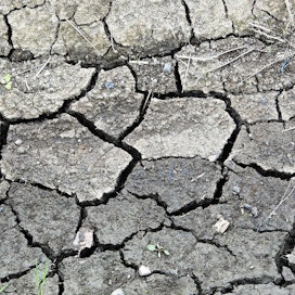 Jos ilmastonmuutosta ei saada kuriin, Suomessakin voisi tulevaisuudessa olla erittäin ankaraa maaperän kuivuutta 2–3 kertaa vuosikymmenessä.