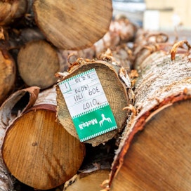 Yksityismetsänomistajien ja metsäjättien välisistä puukaupoista yli puolet tehdään sähköisesti.
