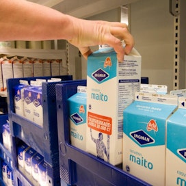 Arlan johto on arvioinut, että he joutuvat tarjoamaan maidosta vähintään yhtä paljon kuin Friesland maksaa ja todennäköisesti vähän enemmän, jotta uusia tuottajia on mahdollista saada.