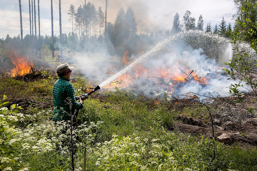 Metsäkeskuksen luonnonhoidon asiantuntija Tiina Lintuharju kasteli Kouvolassa kulotusalueen reuna, jotta tuli ei pääse leviämään ympäröivään puustoon.