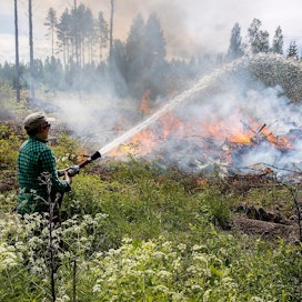 Metsäkeskuksen luonnonhoidon asiantuntija Tiina Lintuharju kasteli Kouvolassa kulotusalueen reuna, jotta tuli ei pääse leviämään ympäröivään puustoon.