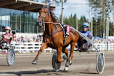 Lake's Action on yksi Jussi Hietalahden omistamista menestysravureista, joita on ollut viime vuosina monta ja useassa eri maassa.