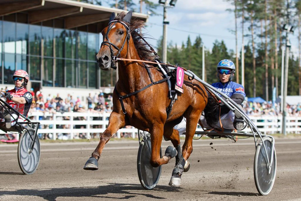 Lake's Action on yksi Jussi Hietalahden omistamista menestysravureista, joita on ollut viime vuosina monta ja useassa eri maassa.