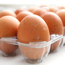 Nokialaisen munintakanalan munia on myyty muun muassa reko-lähiruokapiirin kautta sekä paikallisissa myyntitapahtumissa. Kuvituskuva.