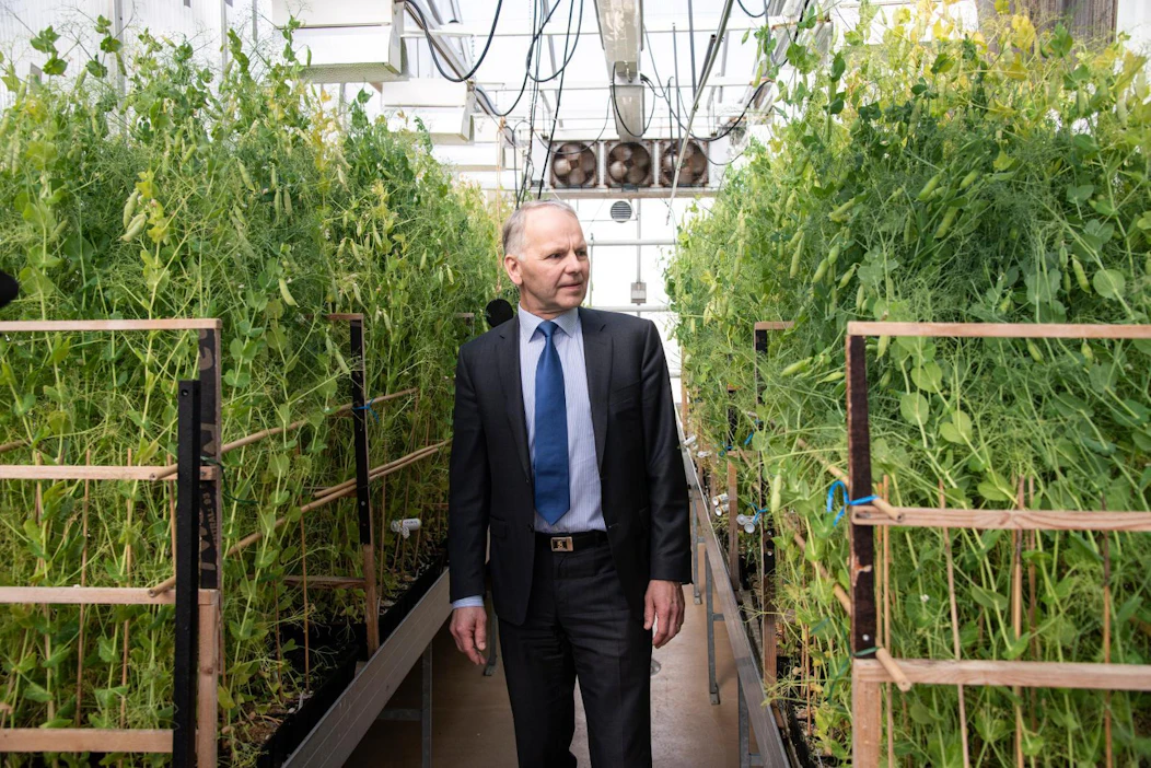 "Kasvu- ja kuiviketurpeella on niin paljon ansioita, että niistä ei ole varaa luopua", ministeri Jari Leppä tutustuu arkistokuvassa herneen jalostukseen Jokioisissa..