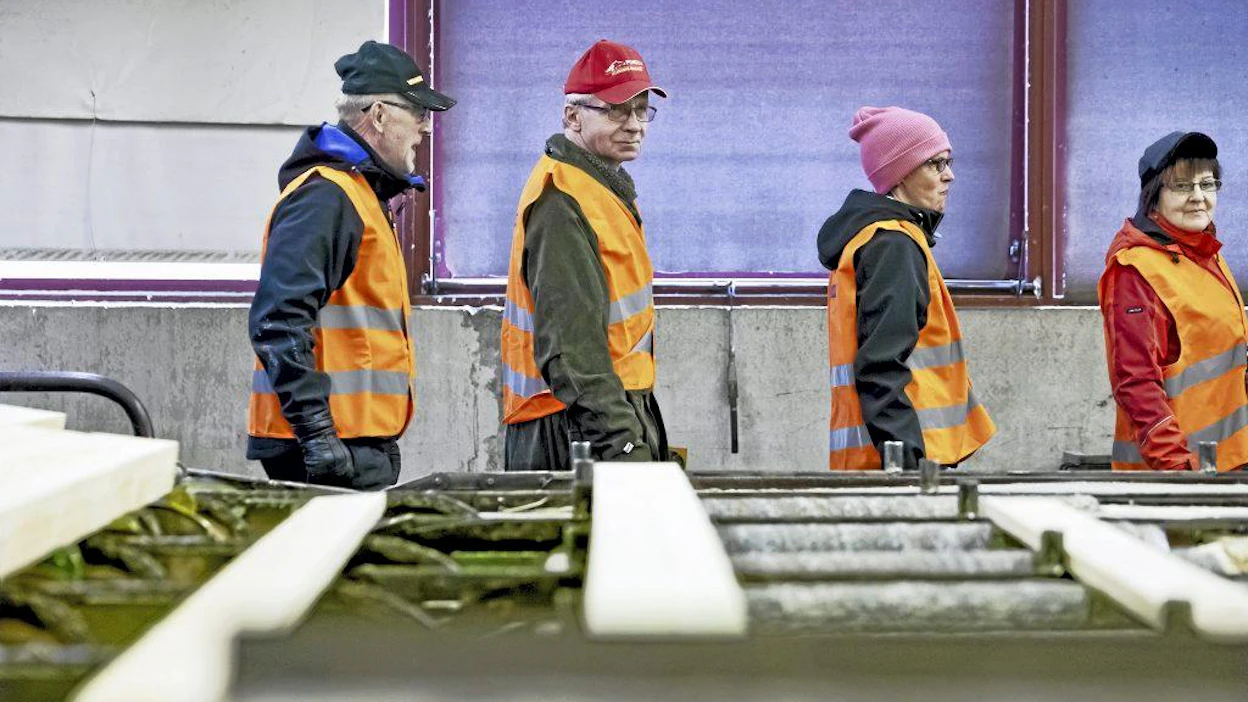 Vapon Nurmeksen sahan avoimet ovet (vas.) Jouko Meriläinen, Ahti Kilpeläinen, Pirjo Meriläinen, Kyllikkikortelainen