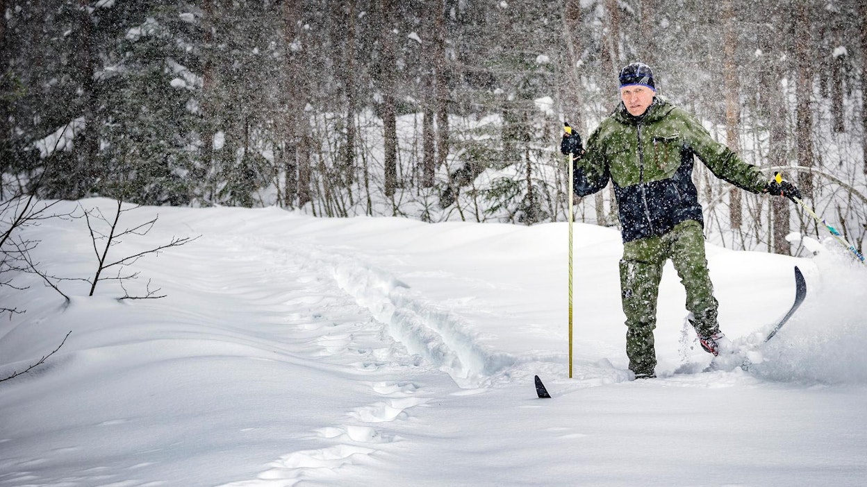 Risto Kiiskinen tutkii sudenjälkiä, jotka lumi on jo osin peittänyt. Tänä talvena susien jälkiä on näkynyt Lieksassa poikkeuksellisen vähän.