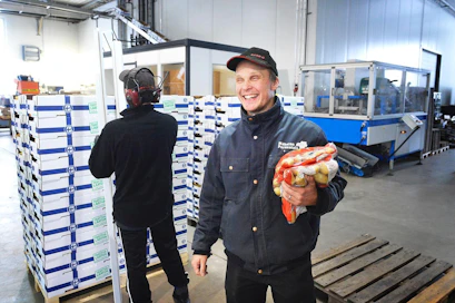 Mäkelän perunatalo pakkaa perunaa pääasiassa kahden kilon pusseihin, joita Kimmo Mäkelällä on sylissä. Taustalla Teemu Niemi pakkaa Lidlille lähteviä laatikoita.