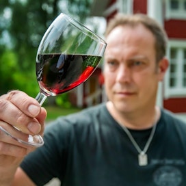Punaisen Tuvan viinitilan isäntä Jussi Keijonen tarkastelee Kohina-viinin väriä, jossa kaikki vesi on korvattu koivunmahlalla. &quot;Vastaavaa tuotetta ei ole koko maailmassa tietääkseni&quot;, hän sanoo.
