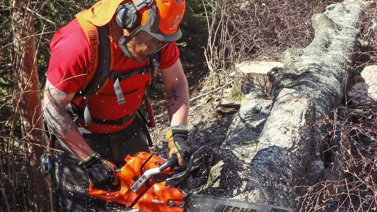 Echon uudistunut CS-621 SX oli Koneviestin pihapuunkaatajilla kokeilussa talvella. Järeä saha on katkontaan hyvin sopiva perussaha, jossa osa teknisistä ratkaisuista on toteutettu perinteiseen tapaan.
