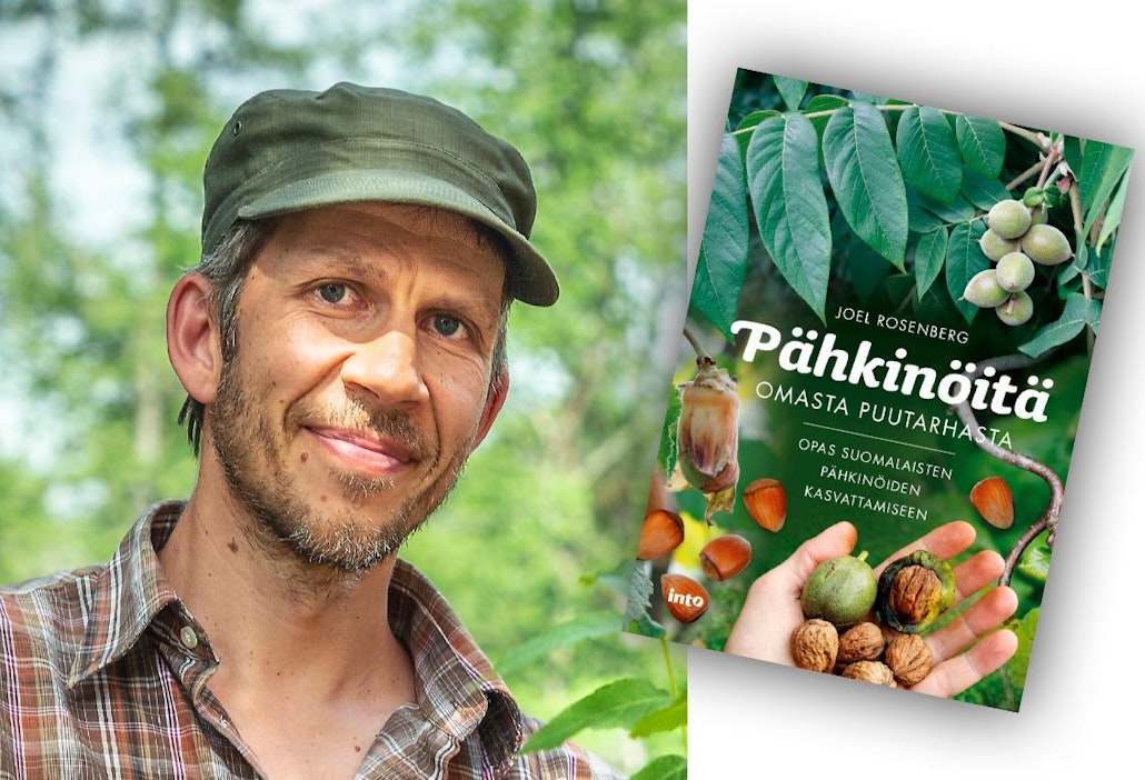 Joel Rosenberg: Pähkinöitä omasta puutarhasta. 188 sivua. Into.