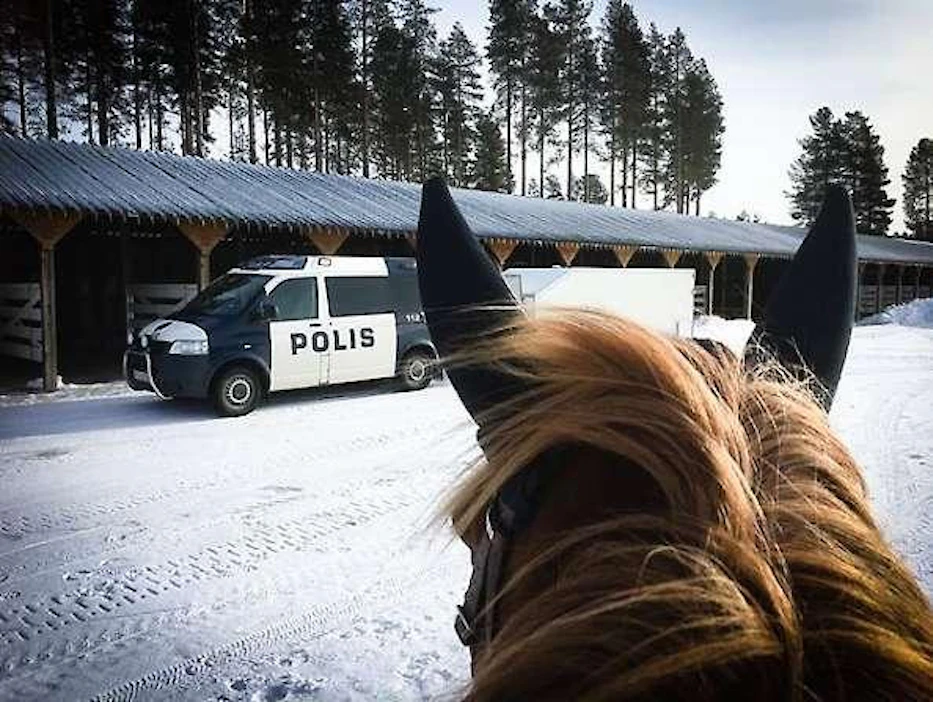 Mikäli tapaa maastossa esimerkiksi ratsukon, poliisi kehottaa sammuttamaan kelkan ja ottamaan kypärän pois päästä.