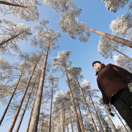 Luontokuvaaja ja -kirjailija Mika Honkalinna asuu metsän keskellä Limingassa.