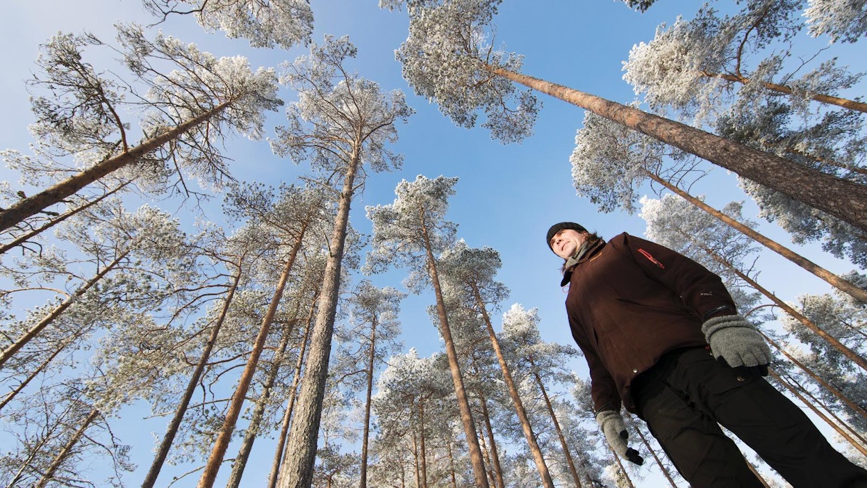 Luontokuvaaja ja -kirjailija Mika Honkalinna asuu metsän keskellä Limingassa.
