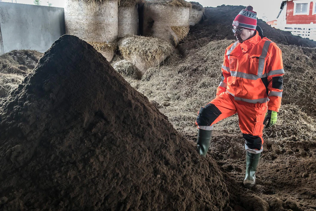 Kompostoitu separoidun lietteen kuivajae on tasaista ja hygieenistä kuiviketta, kertoo Mika Herrala.