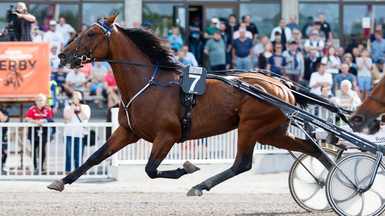 Räjähtävästä nopeudestaan tunnettu Stonecapes Picasso on kärsinyt hankosidevammoista. 7-vuotiaan oriin tuorein startti on kesäkuulta.