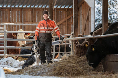 Janne Räisänen on tyytyväinen siihen, että HKScan sai tuloksensa plussalle vaikeasta vuodesta huolimatta.