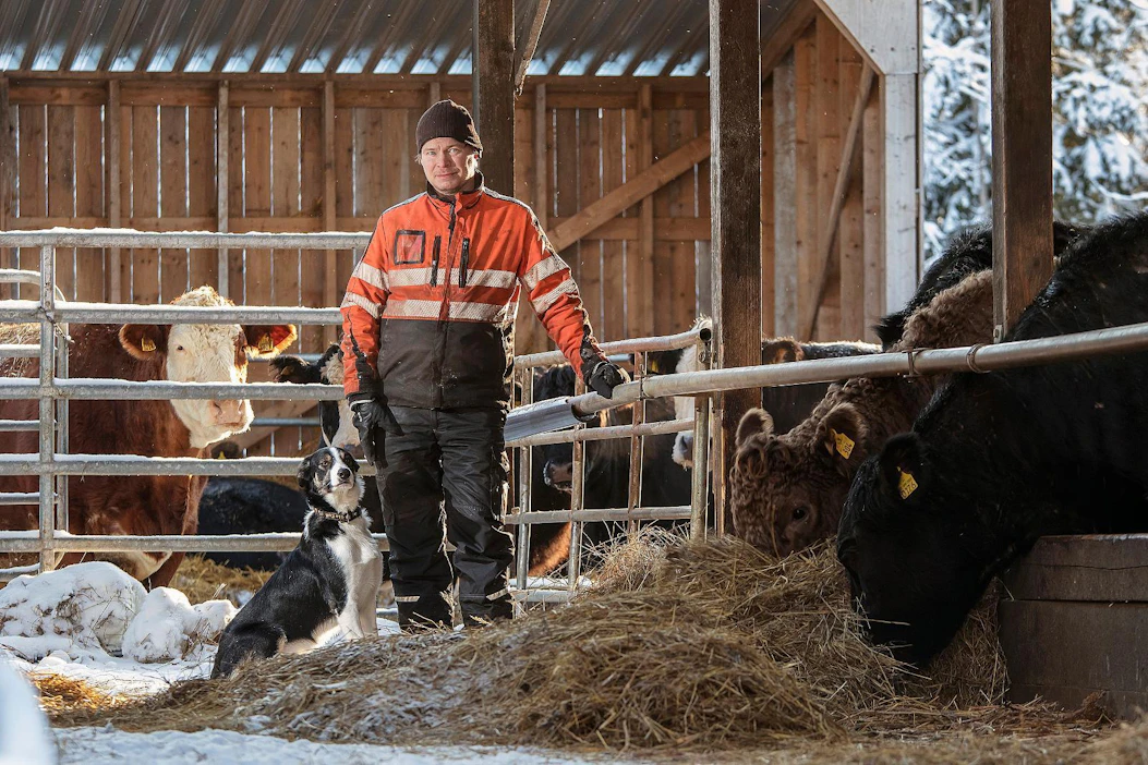 Janne Räisänen on tyytyväinen siihen, että HKScan sai tuloksensa plussalle vaikeasta vuodesta huolimatta.