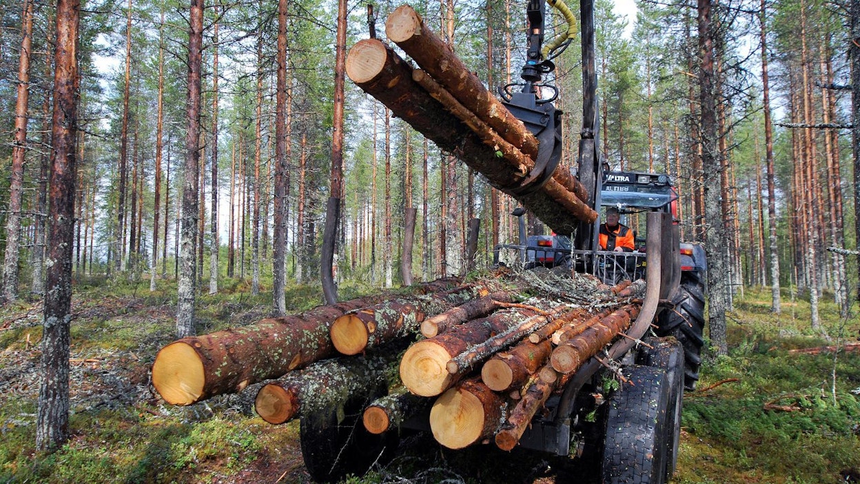 Seuraavaksi uusiutuvan energian direktiivistä äänestetään marraskuun lopulla.