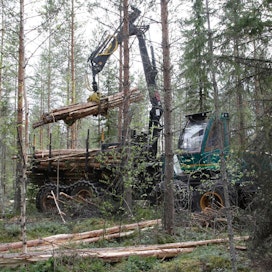 Joka kolmas metsänomistaja arvelee, että metsiä hakataan vähintään niiden kasvun verran. Todellisuudessa Suomen metsiä on 1970-luvulta lähtien hakattu selvästi kasvua vähemmän.