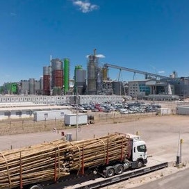 UPM päätti sellutehtaan rakentamisesta Uruguayn Paso de los Torosiin vuonna 2019. Tehdas aloitti toimintansa keväällä 2023. Heinäkuussa tehdas saavutti 70 prosentin tuotantovauhdin. 