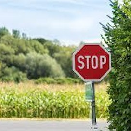Stop-merkki velvoittaa pysähtymään ja väistämään risteyksen muuta, etuajo-oikeutetusta suunnasta tulevaa liikennettä.