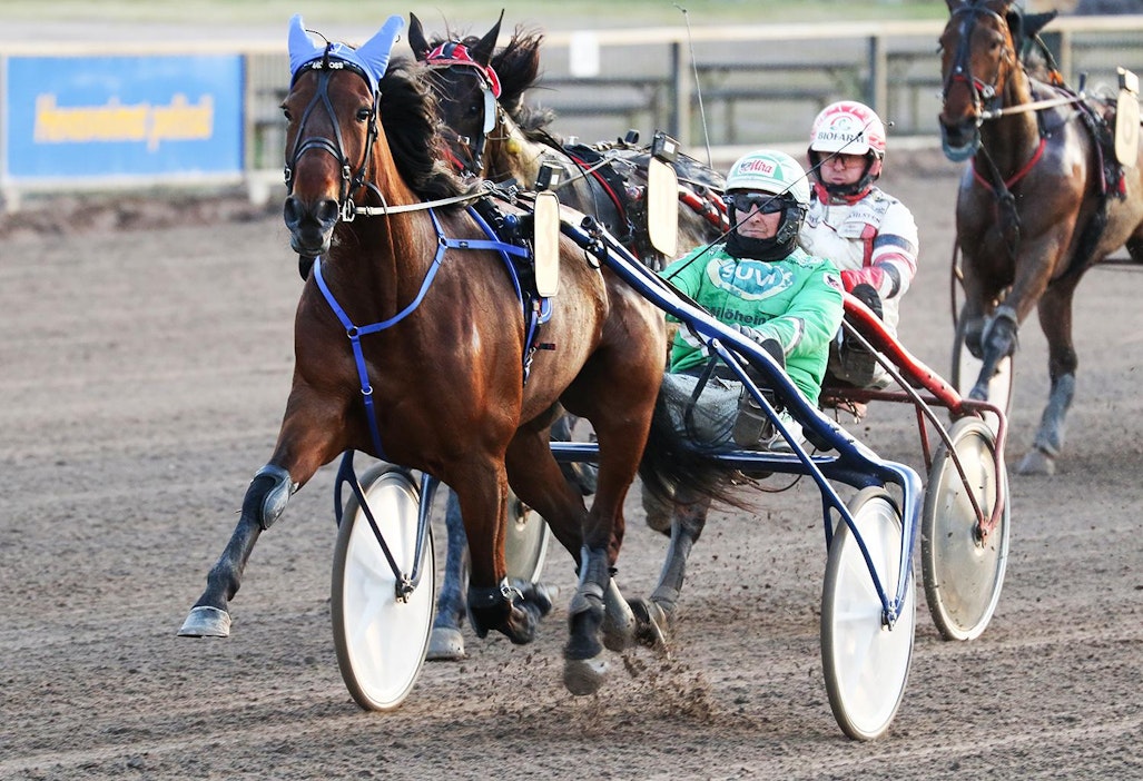 Callela Ladyboss lasketteli varmaan voittoon.