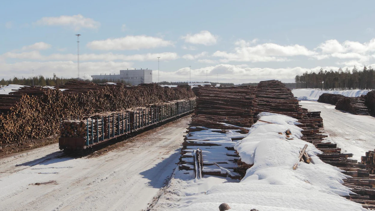 Metsähallituksella, Metsä Groupilla ja Stora Ensolla on Liikenneviraston kanssa pitkät vuokrasopimukset Kemijärven puuterminaalin käytöstä. Kuva on otettu viime huhtikuussa.