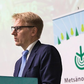 Kimmo Tiilikainen muistuttaa, että nuorten metsien hakkuut nopeuttavat järeytymistä ja kasvua.