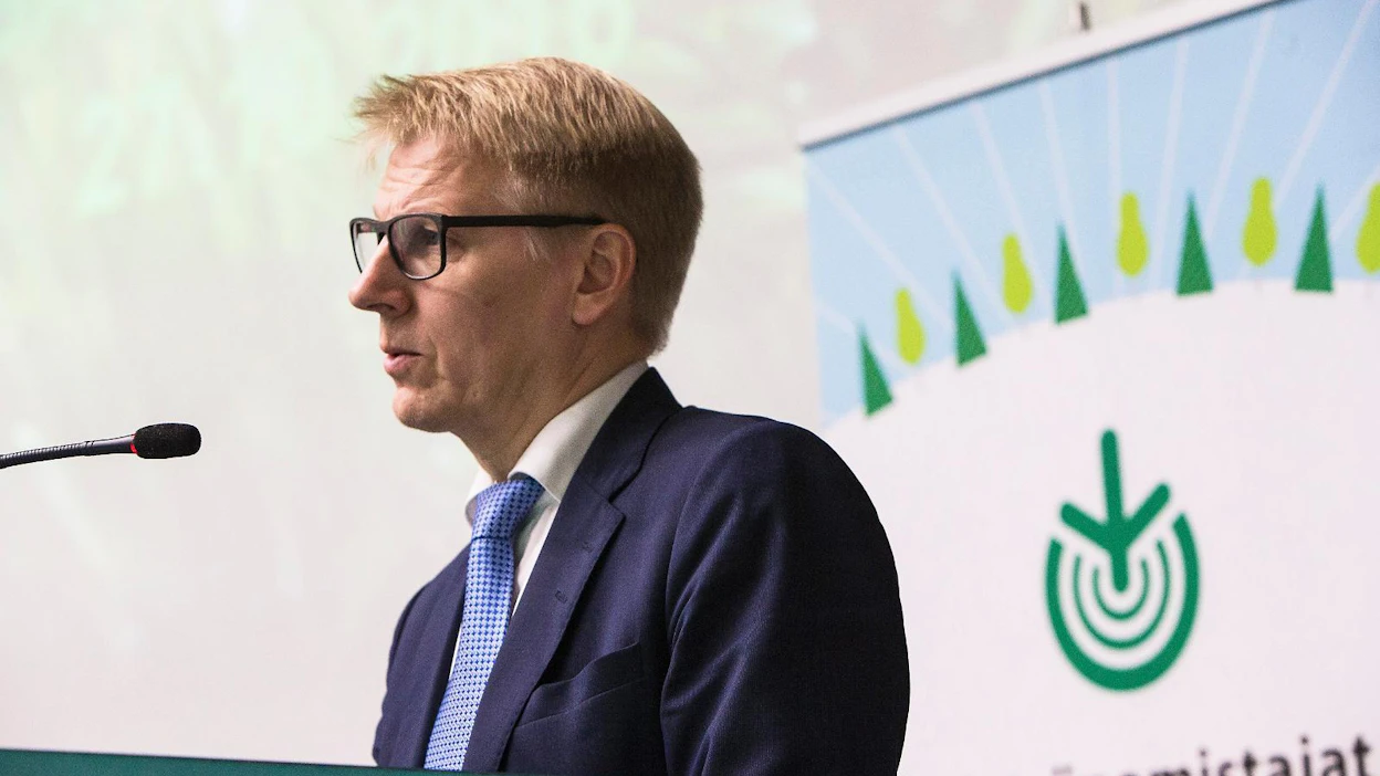 Kimmo Tiilikainen muistuttaa, että nuorten metsien hakkuut nopeuttavat järeytymistä ja kasvua.