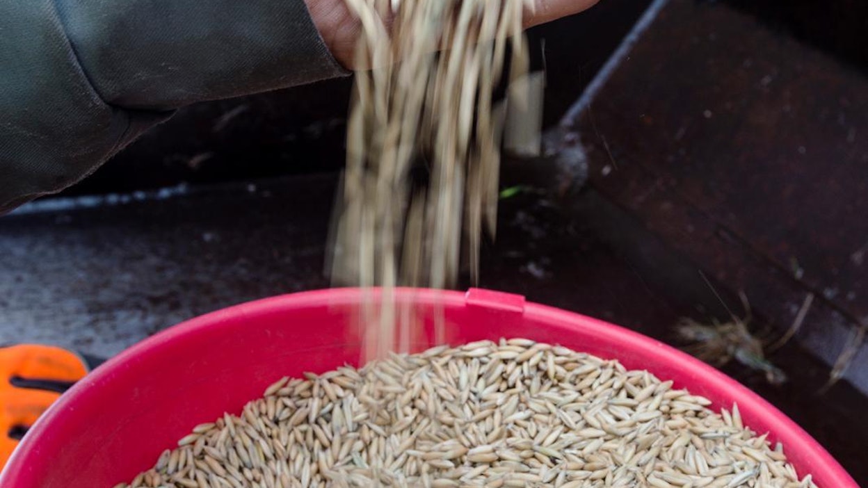 Laatukauralle pitäisi saada sille kuuluva lisäarvo, raportissa todetaan.