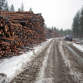 Metsäkeskus palasi vuoden vaihtuessa entiseen käytäntöön metsätiehankkeiden kemeratukipäätöksissä.